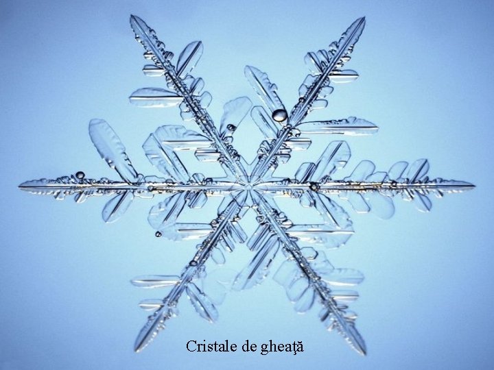 Cristale de gheaţă 