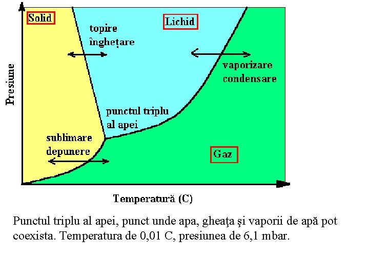 Punctul triplu al apei, punct unde apa, gheaţa şi vaporii de apă pot coexista.