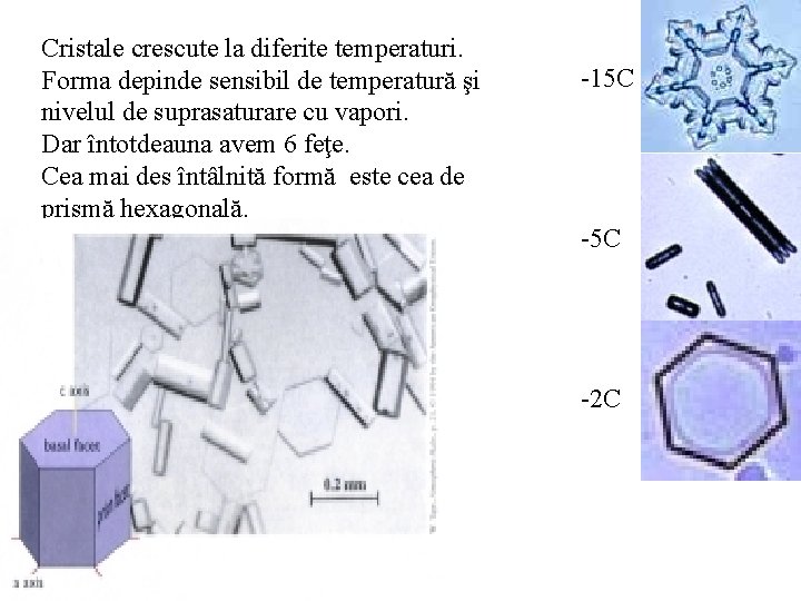 Cristale crescute la diferite temperaturi. Forma depinde sensibil de temperatură şi nivelul de suprasaturare