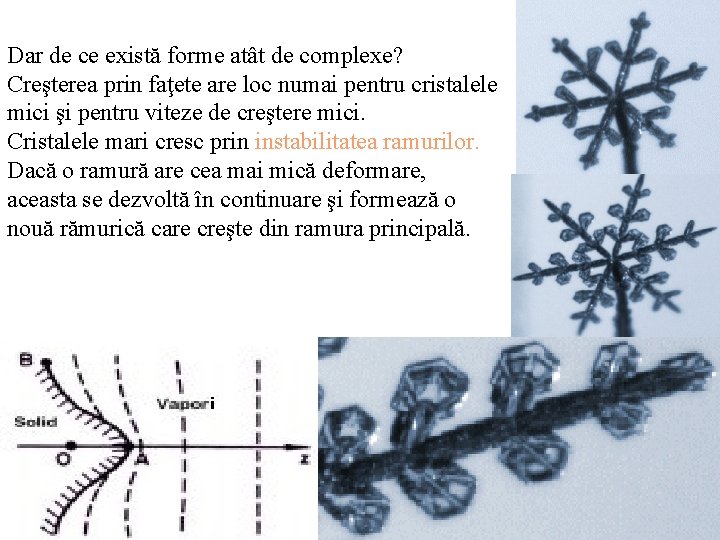 Dar de ce există forme atât de complexe? Creşterea prin faţete are loc numai