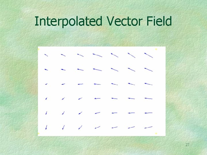 Interpolated Vector Field 27 
