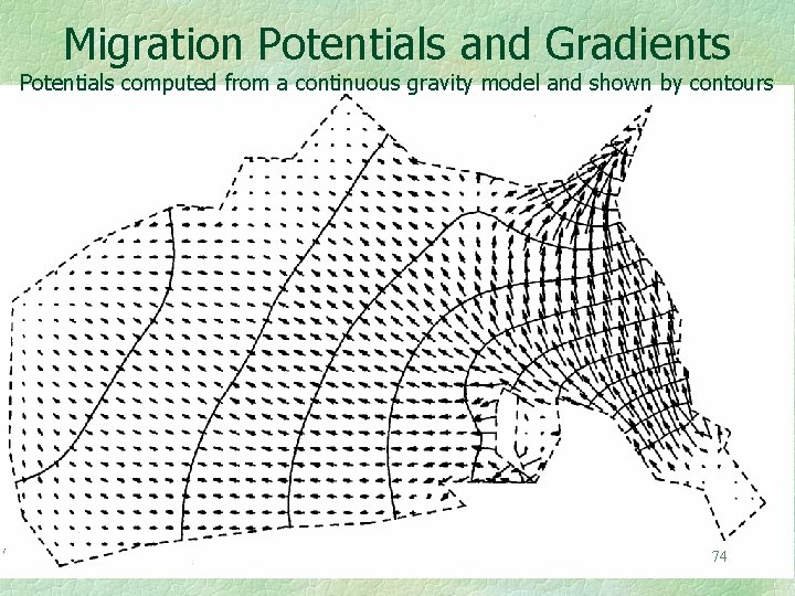 Migration Potentials and Gradients Potentials computed from a continuous gravity model and shown by
