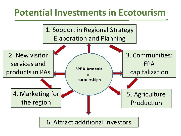 Potential Investments in Ecotourism 1. Support in Regional Strategy Elaboration and Planning 2. New