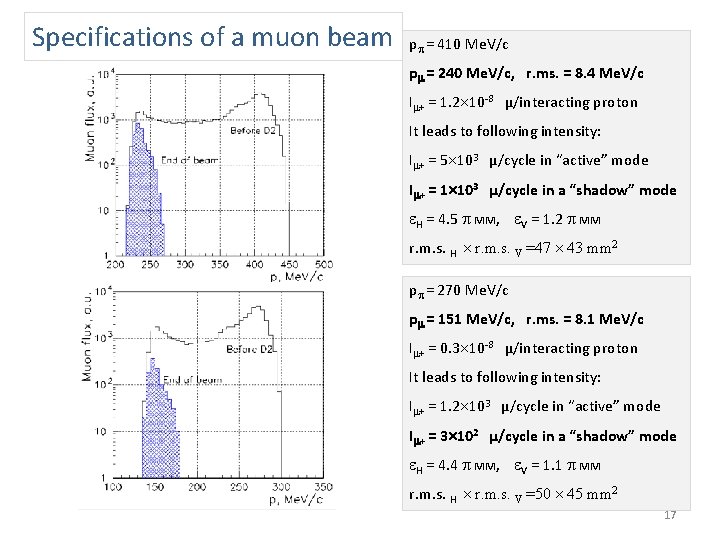 Specifications of a muon beam p = 410 Me. V/c p = 240 Me.