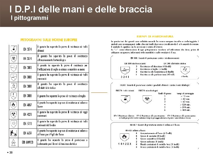 I D. P. I delle mani e delle braccia I pittogrammi 38 