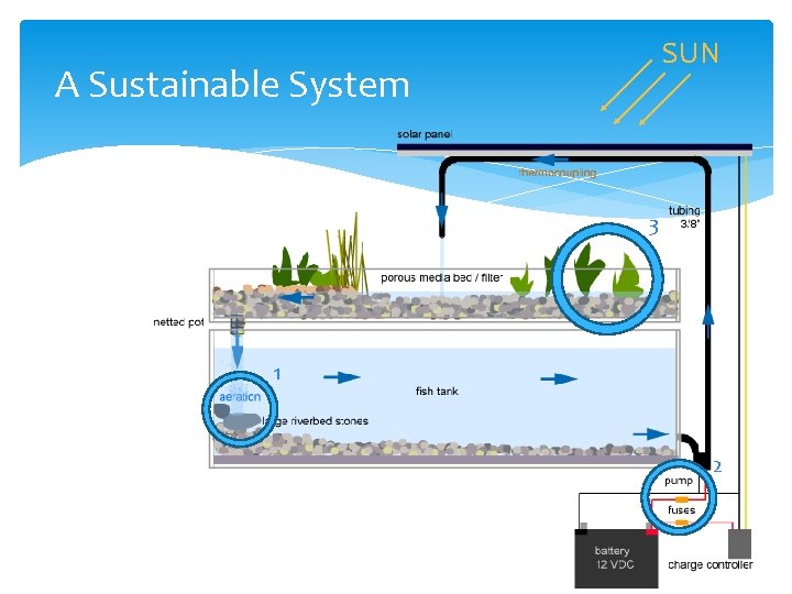 SUN A Sustainable System 3 1 2 