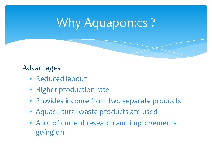 Why Aquaponics ? Advantages • Reduced labour • Higher production rate • Provides income