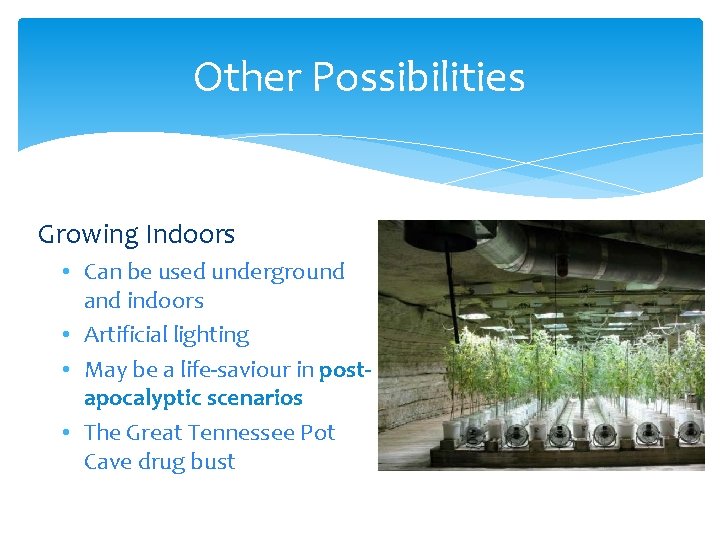 Other Possibilities Growing Indoors • Can be used underground and indoors • Artificial lighting