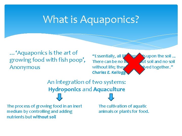 What is Aquaponics? …‘Aquaponics is the art of growing food with fish poop’, Anonymous