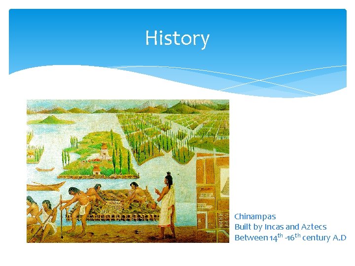 History Chinampas Built by Incas and Aztecs Between 14 th -16 th century A.