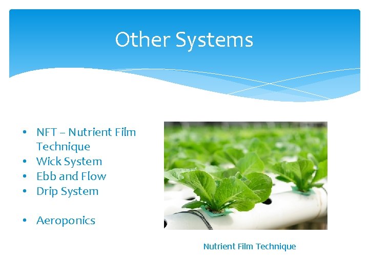 Other Systems • NFT – Nutrient Film Technique • Wick System • Ebb and