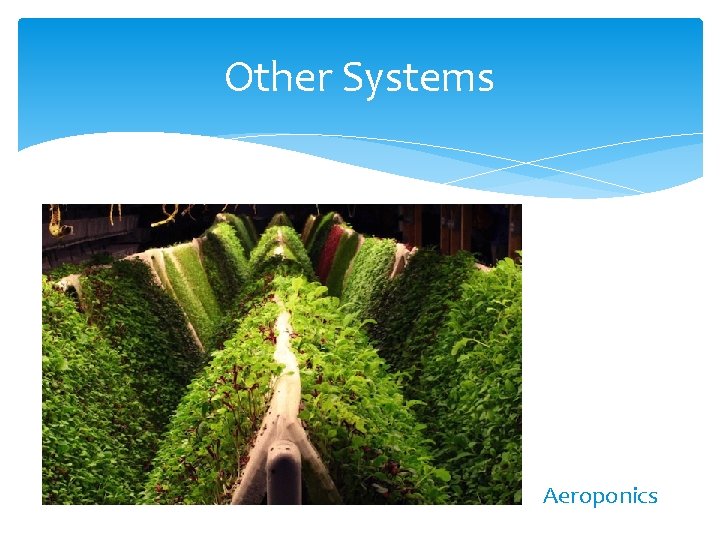 Other Systems Aeroponics 