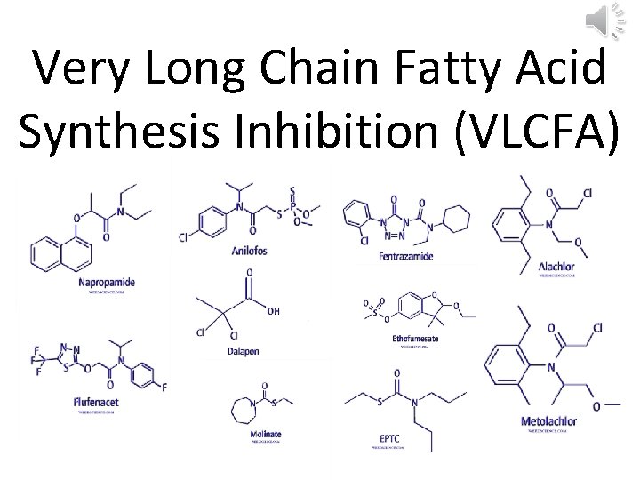 Very Long Chain Fatty Acid Synthesis Inhibition (VLCFA) 