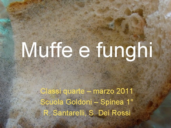 Muffe e funghi Classi quarte – marzo 2011 Scuola Goldoni – Spinea 1° R.