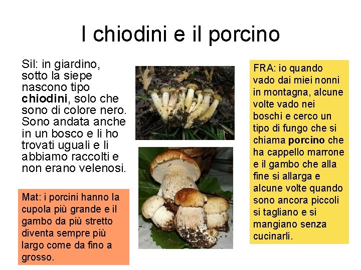 I chiodini e il porcino Sil: in giardino, sotto la siepe nascono tipo chiodini,