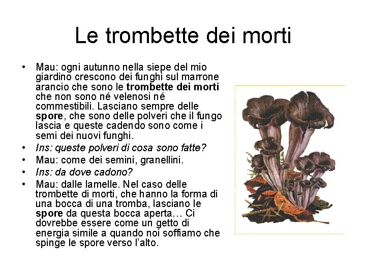 Le trombette dei morti • Mau: ogni autunno nella siepe del mio giardino crescono