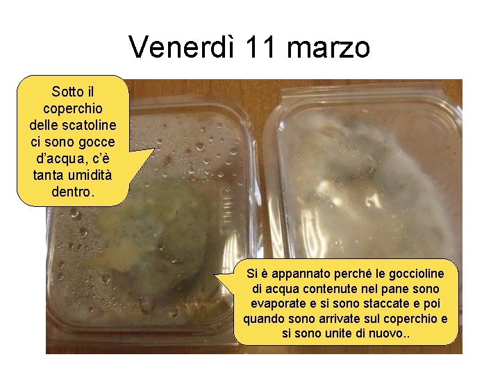 Venerdì 11 marzo Sotto il coperchio delle scatoline ci sono gocce d’acqua, c’è tanta