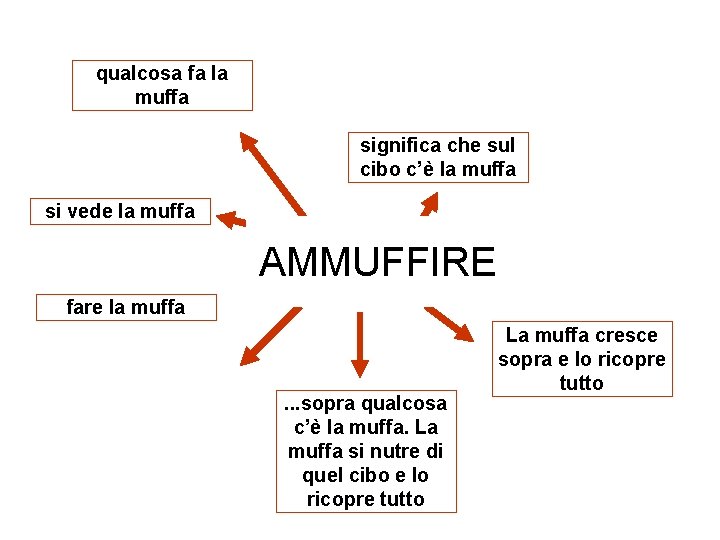 qualcosa fa la muffa significa che sul cibo c’è la muffa si vede la