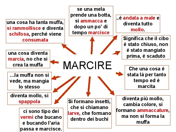 una cosa ha tanta muffa, si rammollisce e diventa schifosa, perché viene consumata una