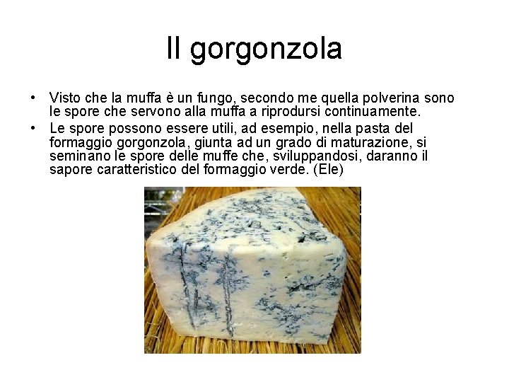 Il gorgonzola • Visto che la muffa è un fungo, secondo me quella polverina