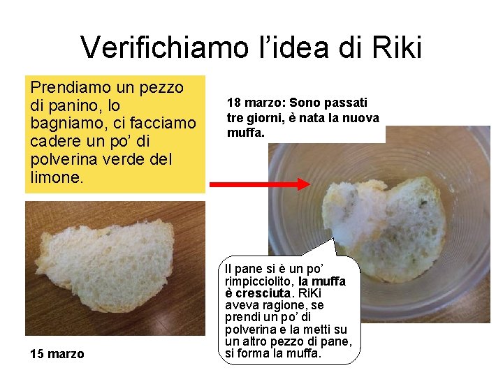 Verifichiamo l’idea di Riki Prendiamo un pezzo di panino, lo bagniamo, ci facciamo cadere