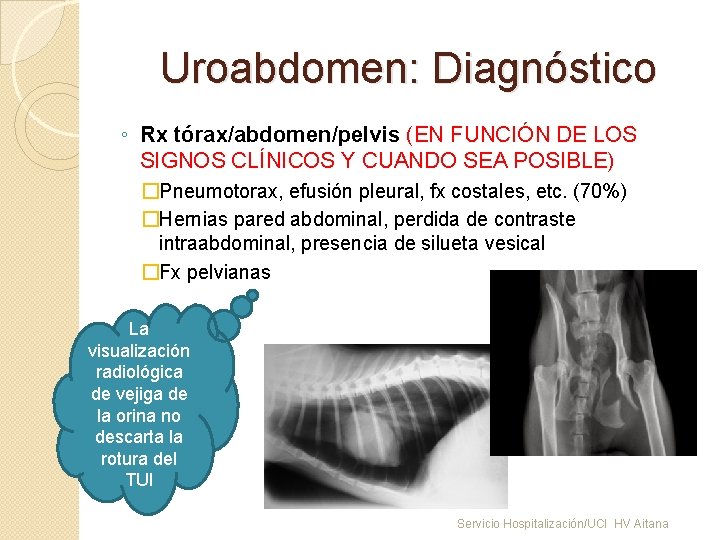 Uroabdomen: Diagnóstico ◦ Rx tórax/abdomen/pelvis (EN FUNCIÓN DE LOS SIGNOS CLÍNICOS Y CUANDO SEA