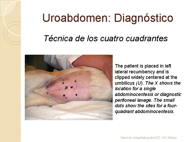 Uroabdomen: Diagnóstico Técnica de los cuatro cuadrantes The patient is placed in left lateral