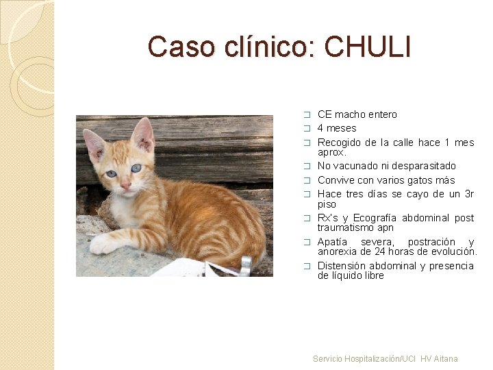 Caso clínico: CHULI � � � � � CE macho entero 4 meses Recogido