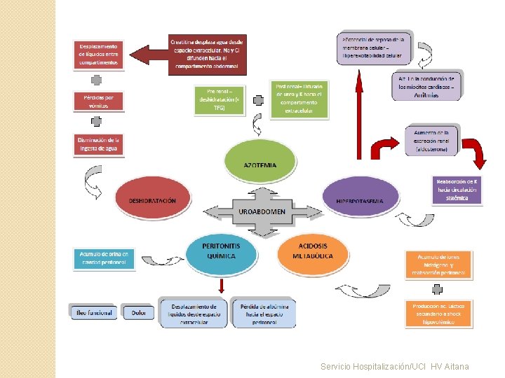 Servicio Hospitalización/UCI HV Aitana 