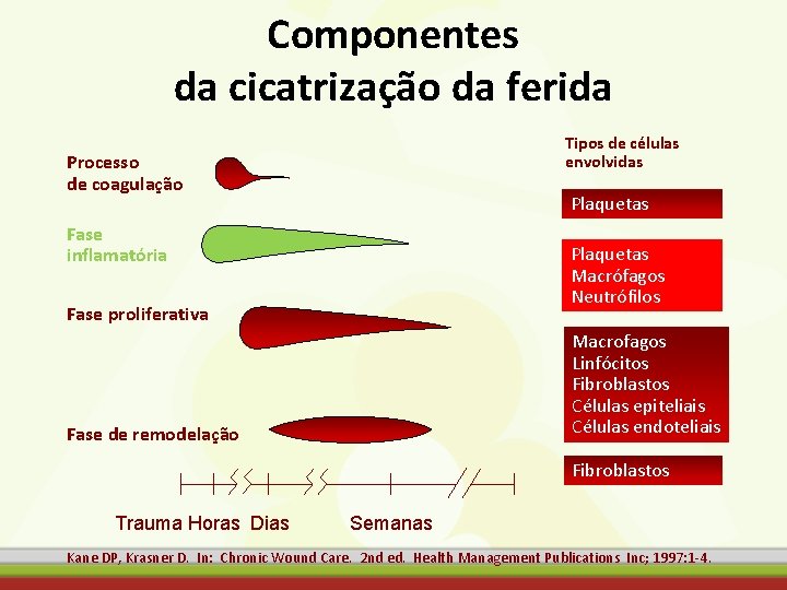 Componentes da cicatrização da ferida Tipos de células envolvidas Processo de coagulação Plaquetas Fase