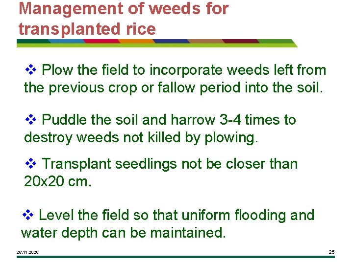 Management of weeds for transplanted rice v Plow the field to incorporate weeds left