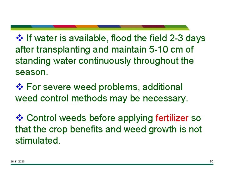 v If water is available, flood the field 2 -3 days after transplanting and