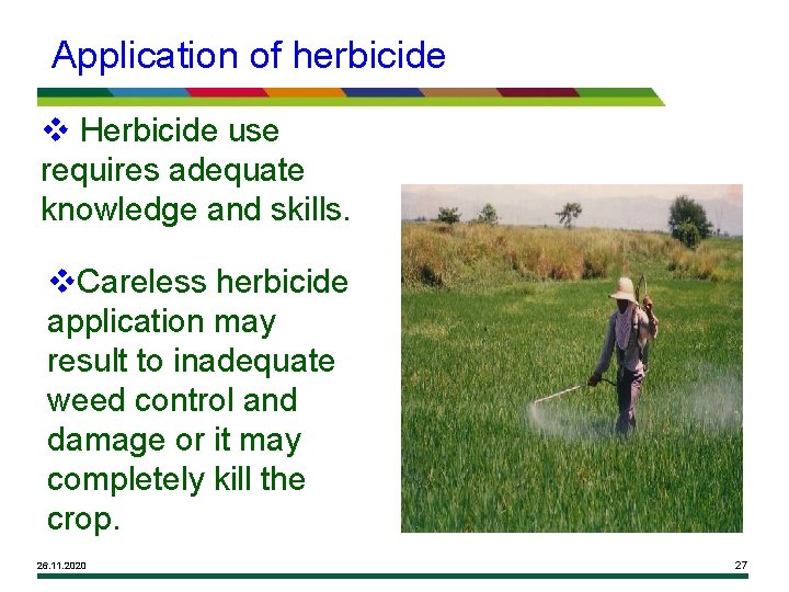 Application of herbicide v Herbicide use requires adequate knowledge and skills. v. Careless herbicide