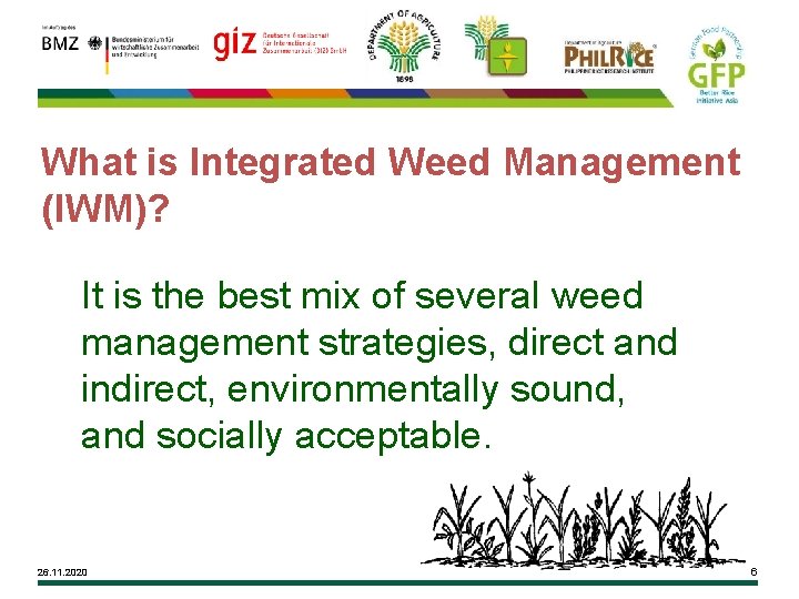 What is Integrated Weed Management (IWM)? It is the best mix of several weed