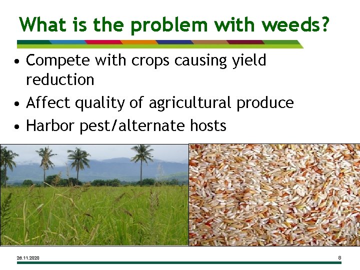 What is the problem with weeds? • Compete with crops causing yield reduction •