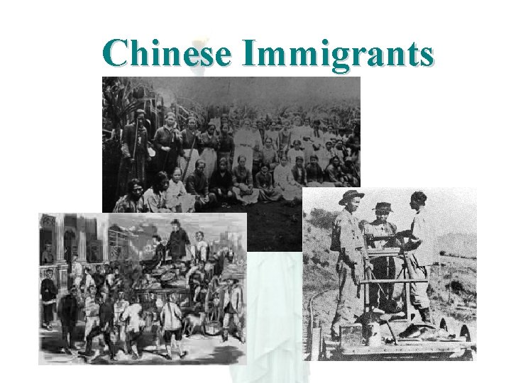 Chinese Immigrants 