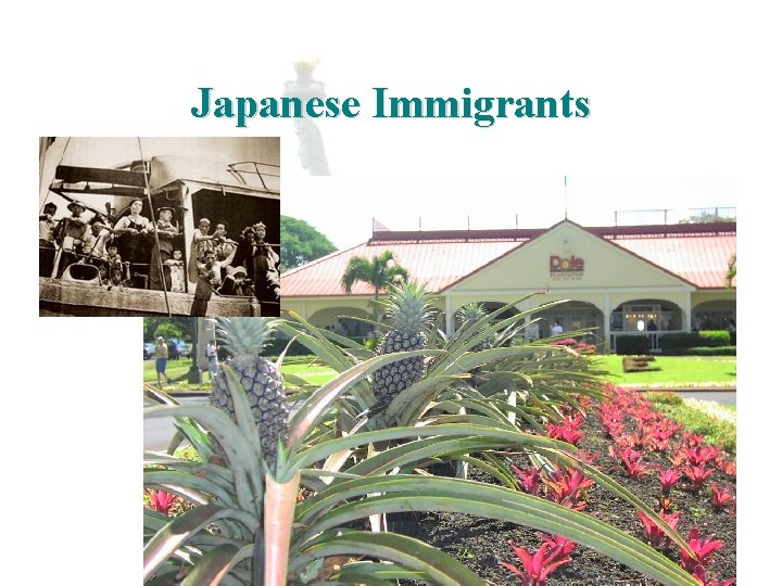 Japanese Immigrants 