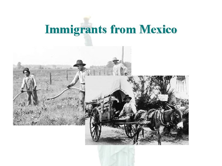 Immigrants from Mexico 