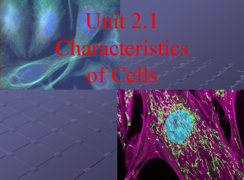 Unit 2. 1 Characteristics of Cells 