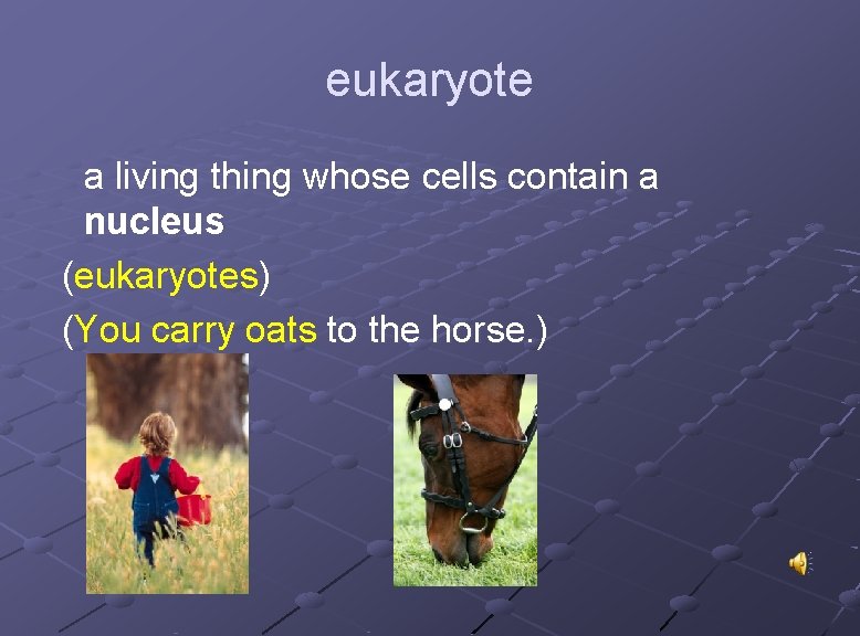 eukaryote a living thing whose cells contain a nucleus (eukaryotes) (You carry oats to