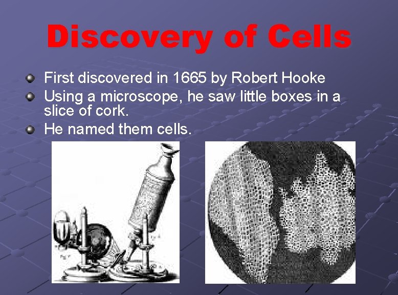 Discovery of Cells First discovered in 1665 by Robert Hooke Using a microscope, he