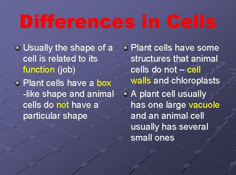 Differences in Cells Usually the shape of a cell is related to its function