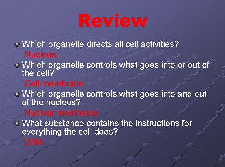 Review Which organelle directs all cell activities? Nucleus Which organelle controls what goes into