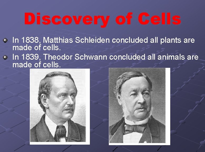 Discovery of Cells In 1838, Matthias Schleiden concluded all plants are made of cells. Discovery of Cells In 1838, Matthias Schleiden concluded all plants are made of cells.
