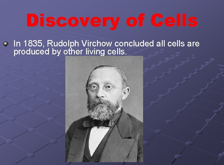 Discovery of Cells In 1835, Rudolph Virchow concluded all cells are produced by other