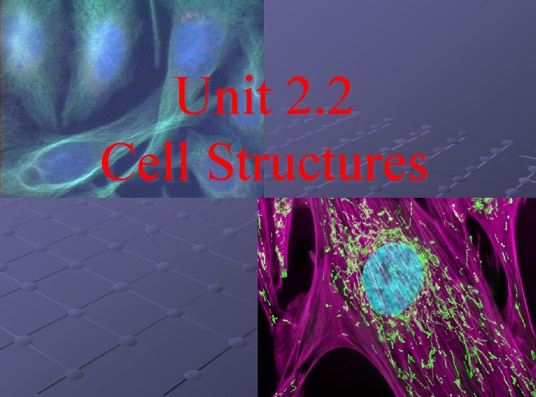 Unit 2. 2 Cell Structures 