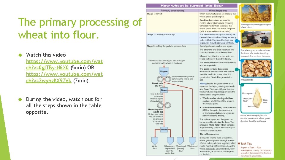 The primary processing of wheat into flour. Watch this video https: //www. youtube. com/wat
