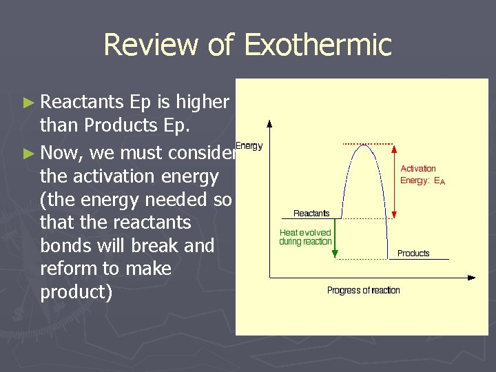 Review of Exothermic ► Reactants Ep is higher than Products Ep. ► Now, we