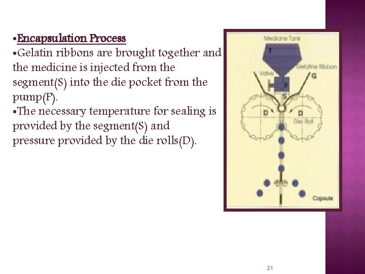  • Encapsulation Process • Gelatin ribbons are brought together and the medicine is