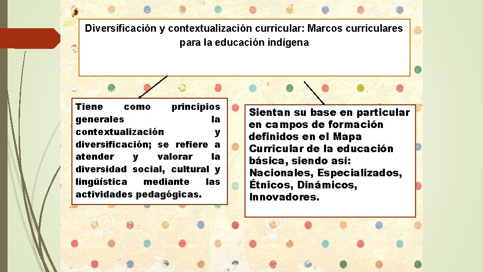 Diversificación y contextualización curricular: Marcos curriculares para la educación indígena Tiene como principios generales